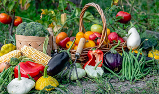 Floristry and Gardening